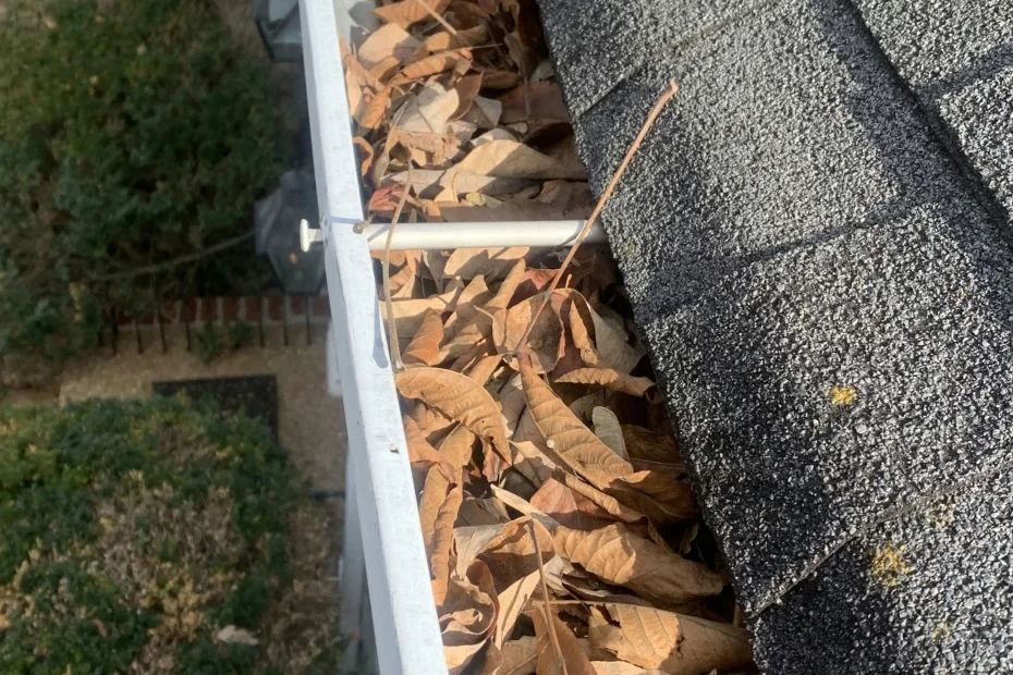 Gutter Cleaning Radford