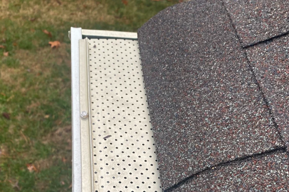 Gutter Cleaning Radford