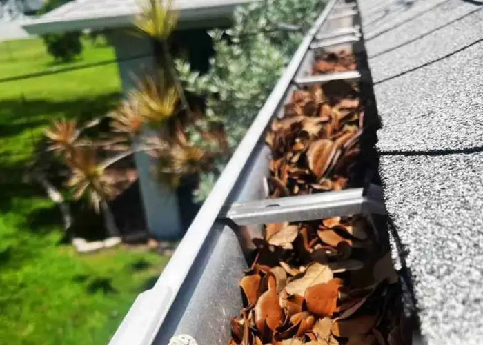 Gutter Cleaning Radford home page